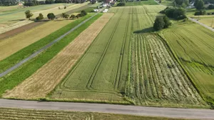 Działka 851 200,00 m², Żelisławice, Kwiatowa, Sprzedaż