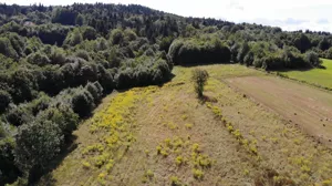 Działka 9 908,00 m², Skawinki, Łąkowa, Sprzedaż