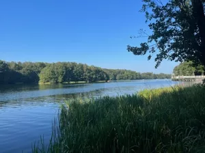 Działka 999,00 m², Czapielsk, Lubczykowa, Sprzedaż