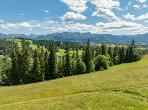 Działka 1 467,00 m², Gliczarów Górny, Matygówka, Sprzedaż