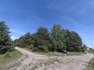 Działka 5 500,00 m², Michałów, Sprzedaż
