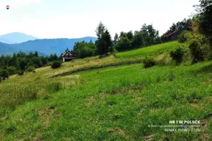 Działka 813,00 m², Mutne, Sprzedaż