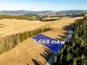Działka 6 668,00 m², Niedzica, Sprzedaż