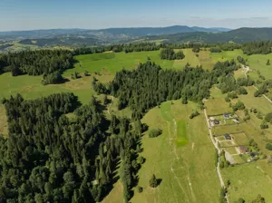 Działka 29 328,00 m², Obidowa, Sprzedaż