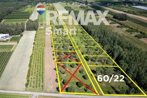 Działka 2 233,00 m², Osieczek, Sprzedaż