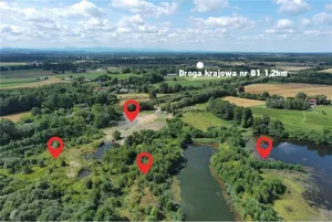Działka 57 500,00 m², Zabłocie, Pasieczna, Sprzedaż