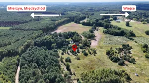 Działka 3 006,00 m², Piłka, Sprzedaż