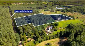 Działka 35 000,00 m², Piłka, Sprzedaż