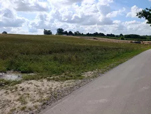 Działka 8 800,00 m², Płouszowice, Sprzedaż