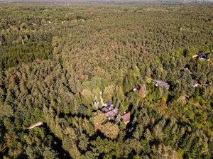 Działka 1 289,00 m², Ustanów, Podleśna, Sprzedaż