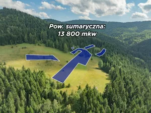 Działka 13 800,00 m², Poręba Wielka, Sprzedaż