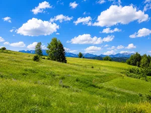 Działka 2 274,00 m², Rzepiska, Potok Bryjów, Sprzedaż