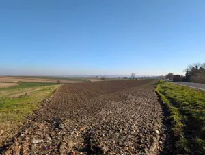 Działka 4 561,00 m², Rudnik, Przemysłowa, Sprzedaż