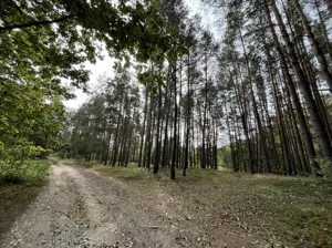 Działka 5 500,00 m², Pustelnik, Sprzedaż