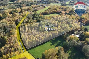 Działka 32 500,00 m², Budy Michałowskie, Radziejowicka, Sprzedaż