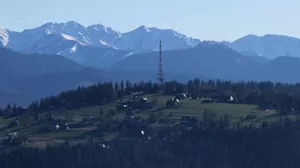 Działka 1 737,00 m², Suche, Rafaczówki, Sprzedaż