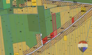 Działka 13 303,00 m², Rakoszyn, Sprzedaż