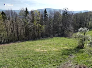 Działka 3 703,00 m², Ustroń, Równica, Sprzedaż