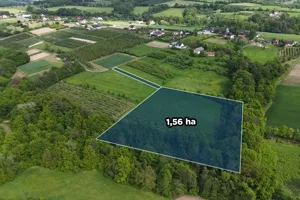 Działka 15 600,00 m², Sadek, Sprzedaż