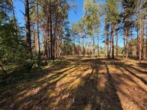 Działka 2 295,00 m², Siestrzeń, Sprzedaż
