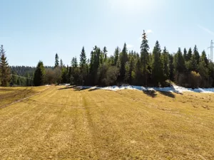 Działka 764,00 m², Zaskale, Skałka, Sprzedaż