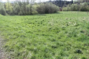 Działka 16 059,00 m², Skomielna Biała, Sprzedaż
