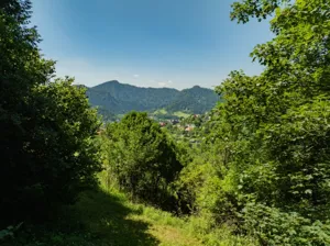 Działka 1 295,00 m², Szczawnica, Skotnicka, Sprzedaż