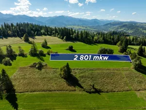 Działka 2 801,00 m², Poronin, Skupniowa, Sprzedaż