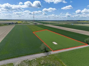 Działka 4 805,00 m², Gołuski, Starowiejska, Sprzedaż