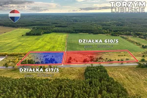 Działka 40 780,00 m², Torzym, Strażacka, Sprzedaż