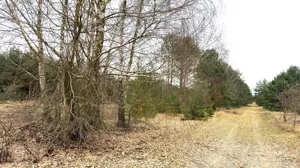 Działka 10 100,00 m², Strobów, Sprzedaż