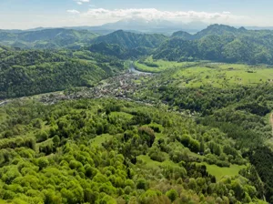 Działka 1 875,00 m², Szczawnica, Sprzedaż
