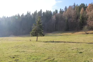 Działka 6 161,00 m², Grywałd, Szkolna, Sprzedaż