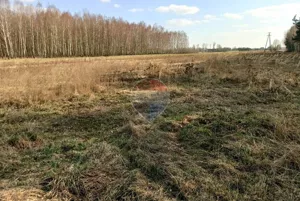 Działka 22 500,00 m², Wistka, Sprzedaż