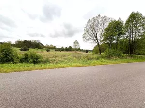 Działka 20 648,00 m², Wodynie, Sprzedaż