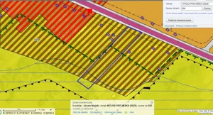 Działka 16 400,00 m², Wólka Paplińska, Sprzedaż