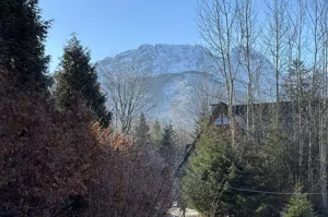 Działka 5 485,00 m², Zakopane, Za Strugiem, Sprzedaż