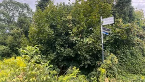 Działka 3 423,00 m², Poznań, Warszawskie-Pomet-Maltańskie, Zaniemyska, Sprzedaż