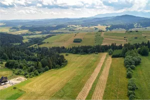 Działka 3 047,00 m², Łapsze Wyżne, Zielona, Sprzedaż