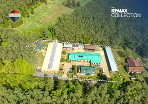 Lokal użytkowy 244,30 m², Zielona Góra, Ochla-Świętego Huberta, Sprzedaż