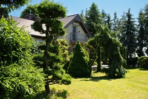 Lokal użytkowy 9 898,00 m², Rybitwy, Sprzedaż