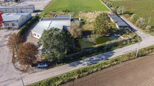 Magazyn 894,00 m², Biadki, Rozdrażewska, Sprzedaż