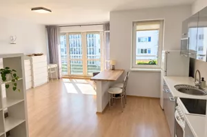 Mieszkanie jednopokojowe 35,00 m², Poznań, Rataje, Katowicka, Wynajem