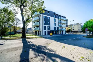 Mieszkanie jednopokojowe 30,08 m², Poznań, Winogrady, Nowe Winogrady Południe, Wyłom, Wynajem