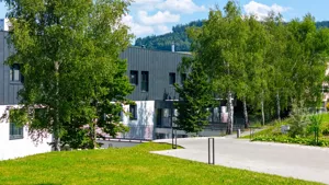 Mieszkanie dwupokojowe 52,03 m², Duszniki-Zdrój, Zieleniec, Sprzedaż