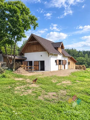 Dom wolnostojący 450,00 m², Jakubowo, Wynajem