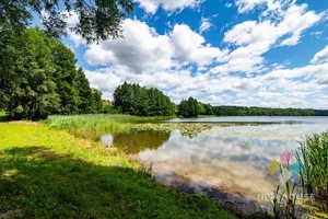 Działka 2 820,00 m², Kiersztanowo, Sprzedaż