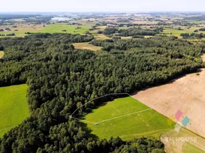 Działka 7 241,00 m², Patryki, Sprzedaż