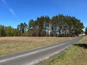 Działka 15 100,00 m², Gąba, Słoneczna, Sprzedaż