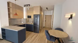 Mieszkanie jednopokojowe 30,00 m², Łódź, Śródmieście, Pomorska, Wynajem